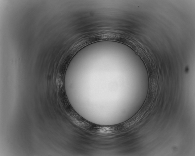 X0000099410091200805090737