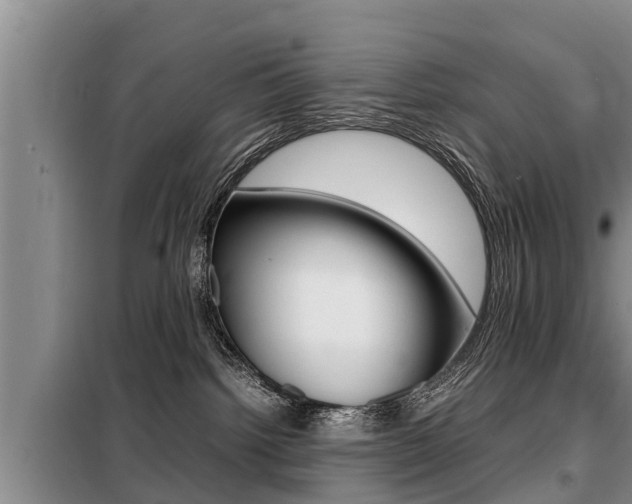 X0000099410092200805090738