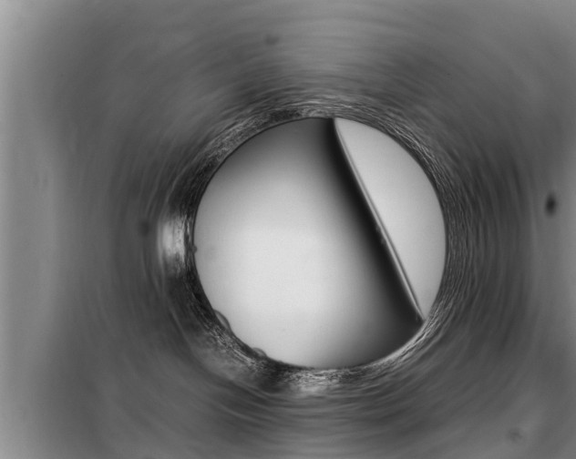 X0000099410094200805090738