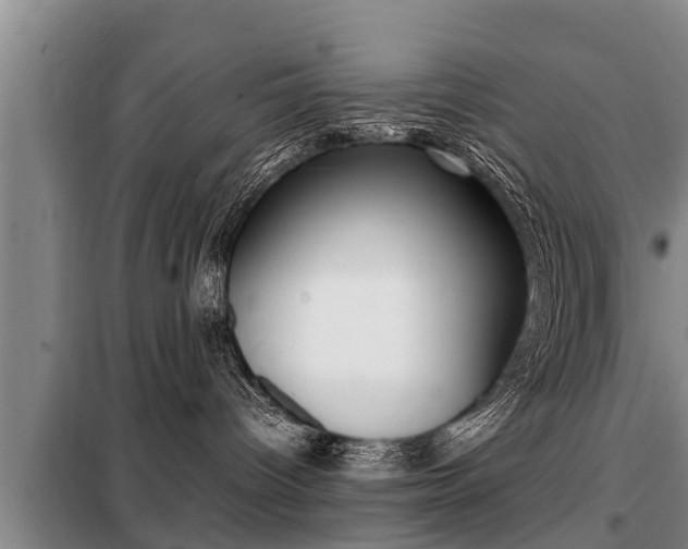 X0000099410096200805090738