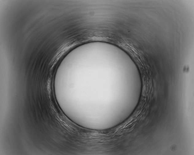 X0000099410098200805090737