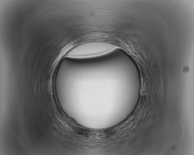 X0000099410099200805090737