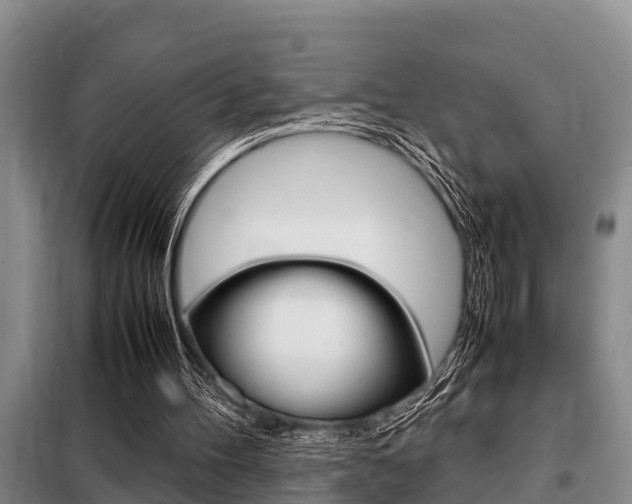 X0000099410100200805090737