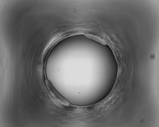 X0000099410101200805090737