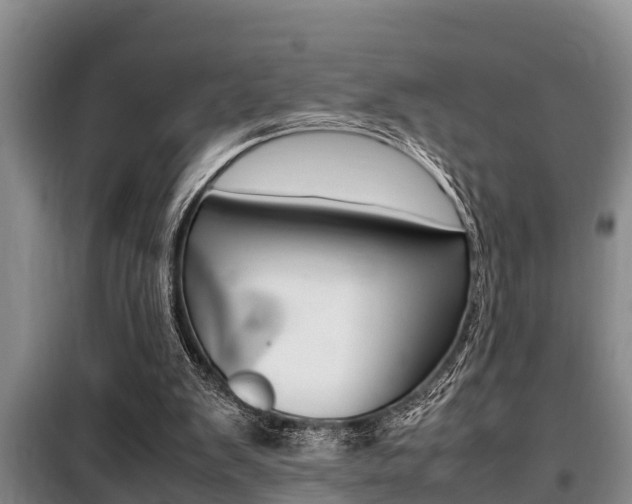 X0000099410103200805090737