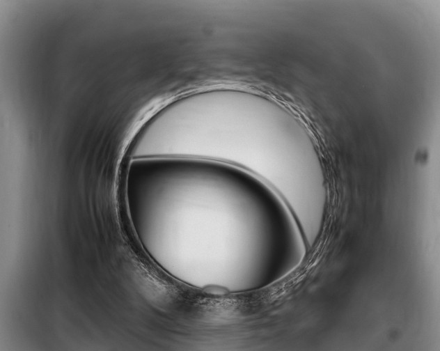 X0000099410104200805090737