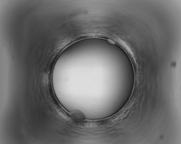 X0000099410105200805090737