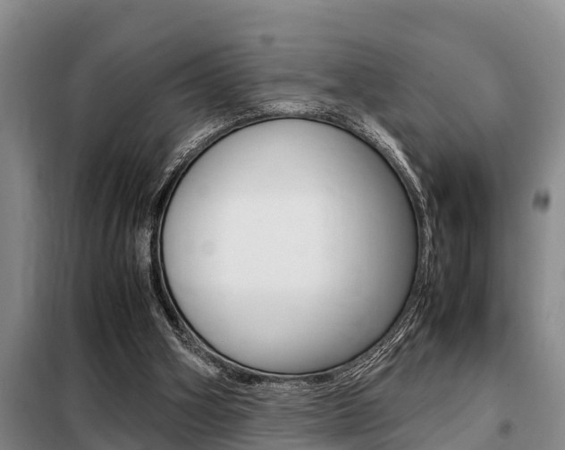 X0000099410106200805090737