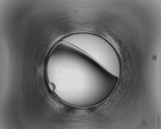 X0000099410107200805090737