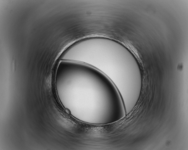 X0000099410108200805090737