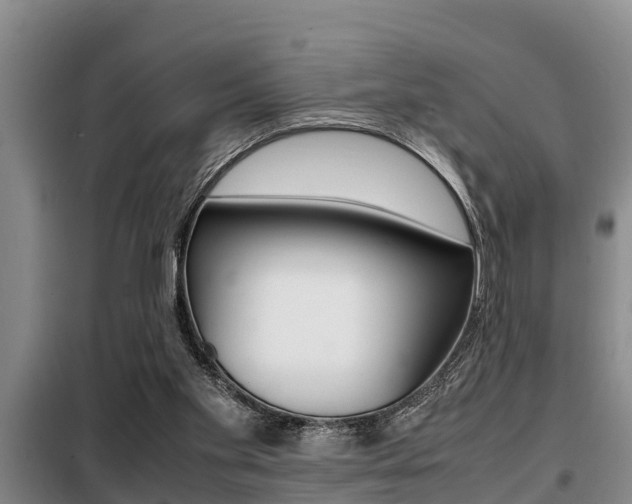 X0000099410109200805090737