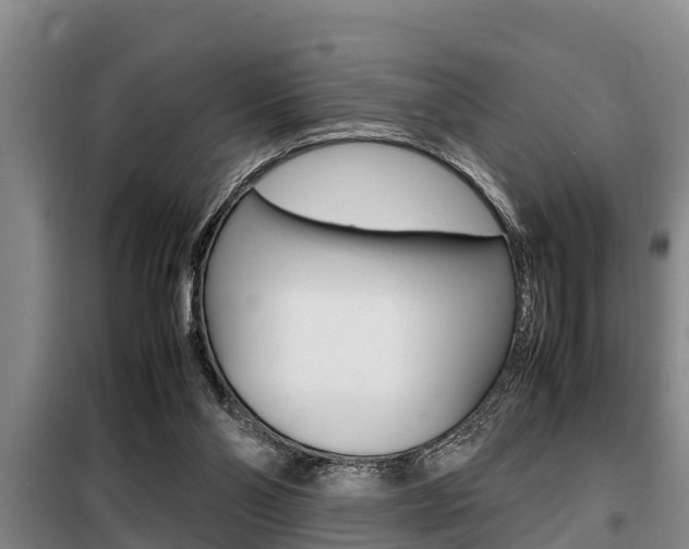 X0000099410110200805090737