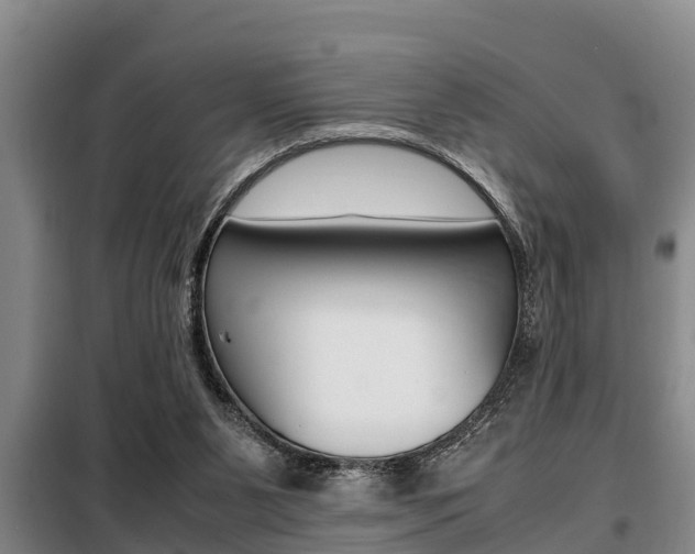 X0000099410111200805090737