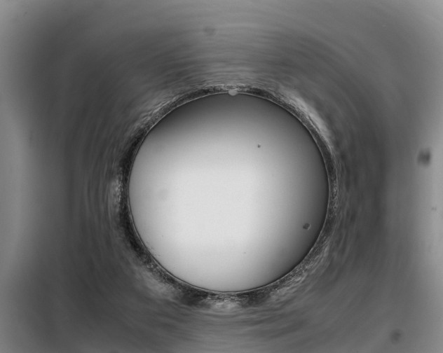 X0000099410113200805090737