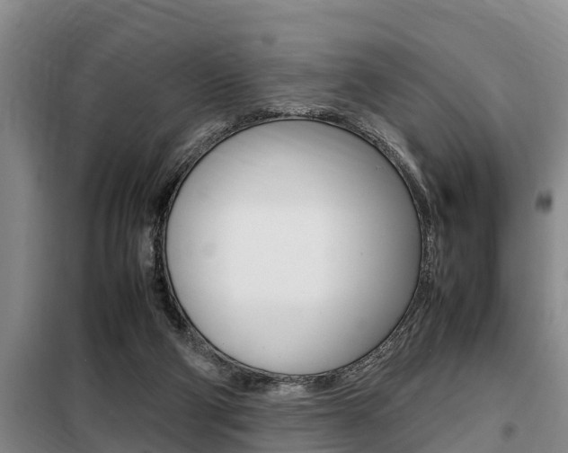 X0000099410114200805090736
