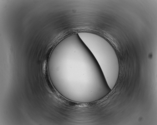 X0000099410118200805090736