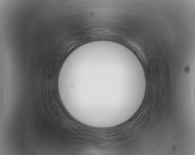 X0000099410121200805090736