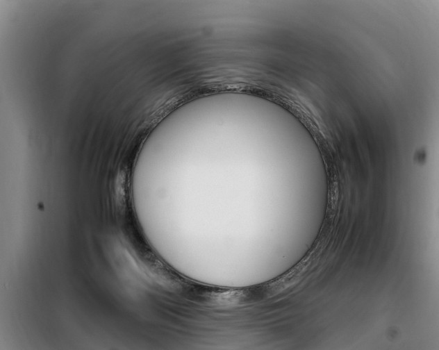 X0000099410122200805090736