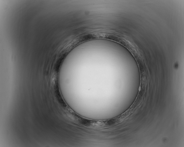 X0000099410125200805090736