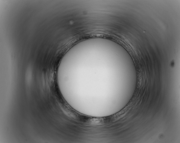 X0000099410126200805090736