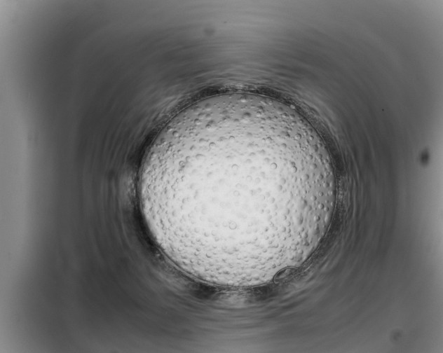 X0000099410127200805090736