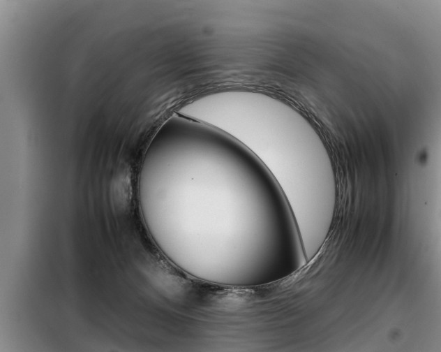 X0000099410128200805090736