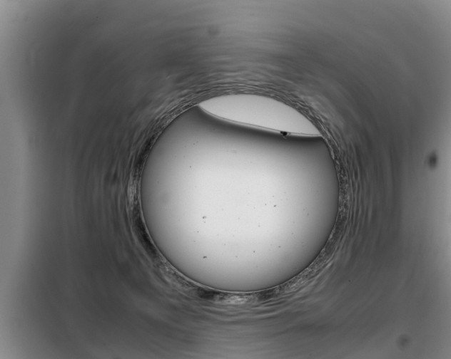 X0000099410129200805090736