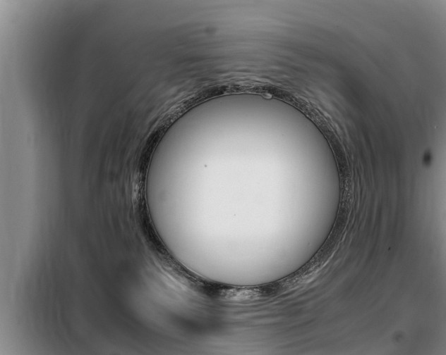 X0000099410135200805090736