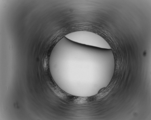 X0000099410138200805090736