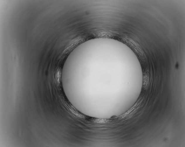 X0000099410142200805090736