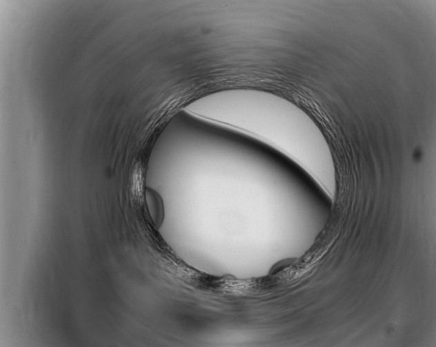 X0000099410143200805090736