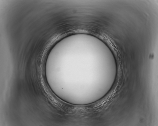 X0000099410145200805090735