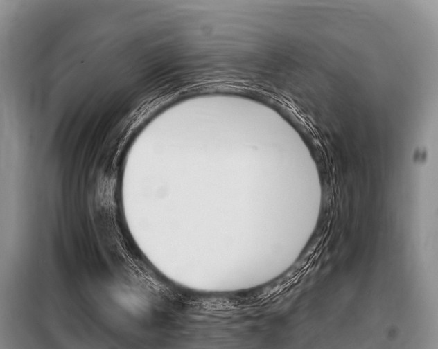 X0000099410146200805090735