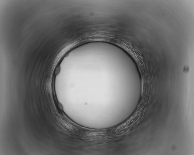 X0000099410147200805090735