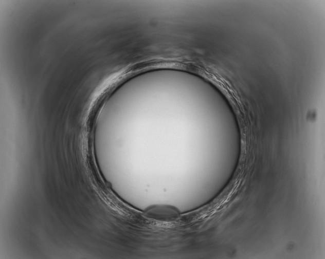 X0000099410149200805090735