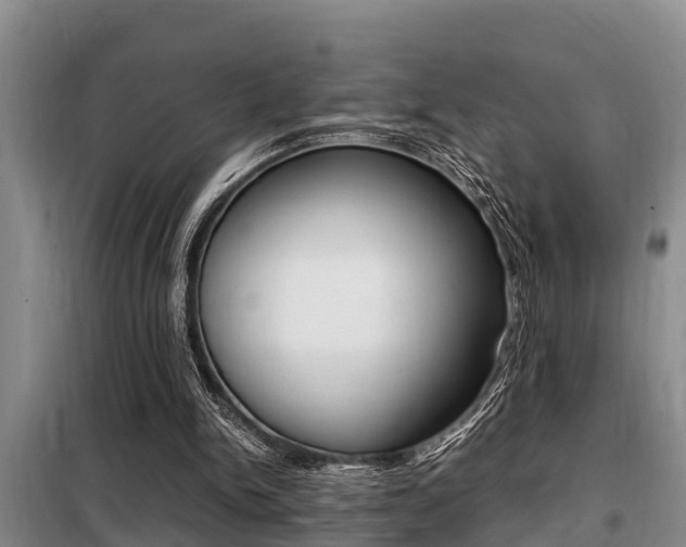 X0000099410150200805090735