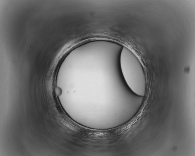 X0000099410151200805090736
