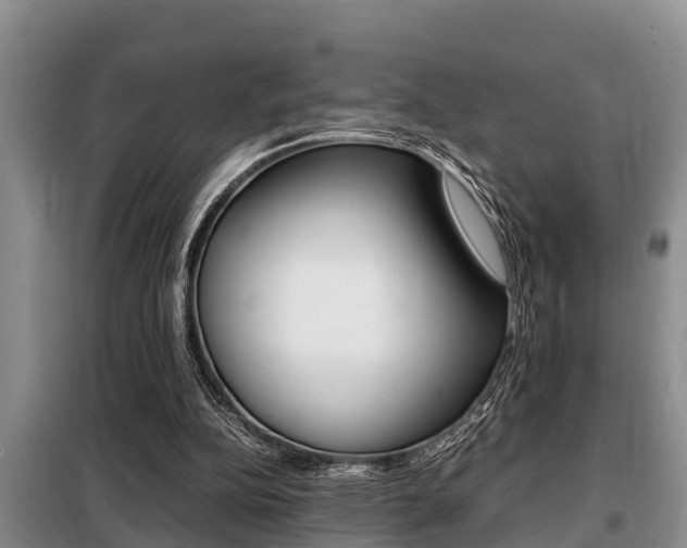 X0000099410152200805090736