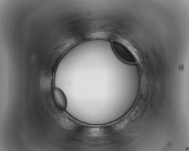 X0000099410153200805090736