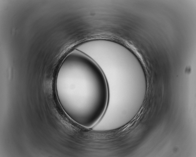 X0000099410154200805090736