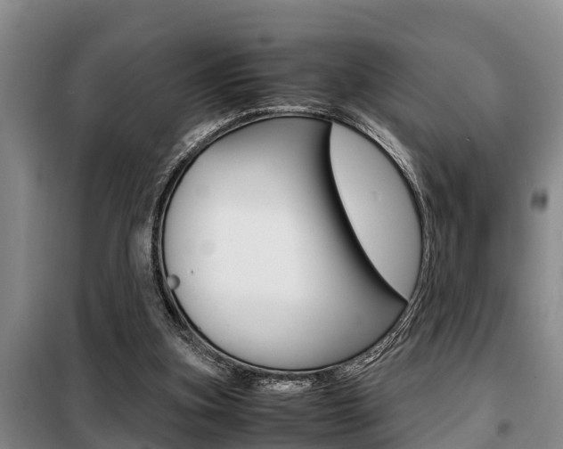 X0000099410155200805090736