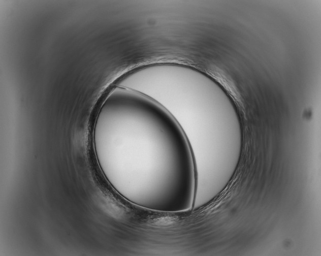 X0000099410156200805090736