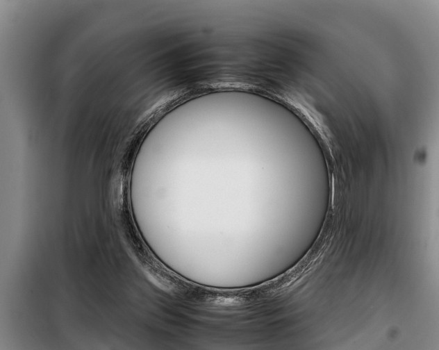 X0000099410157200805090736