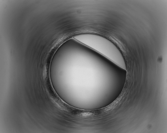 X0000099410158200805090736