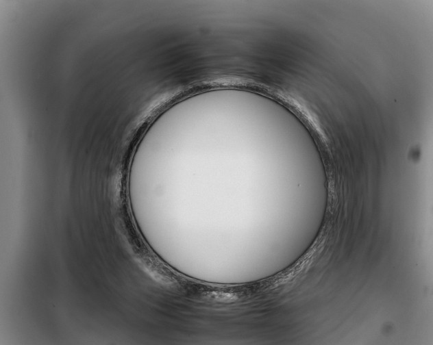 X0000099410159200805090736