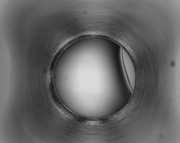 X0000099410160200805090736