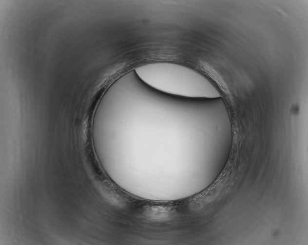 X0000099410163200805090736