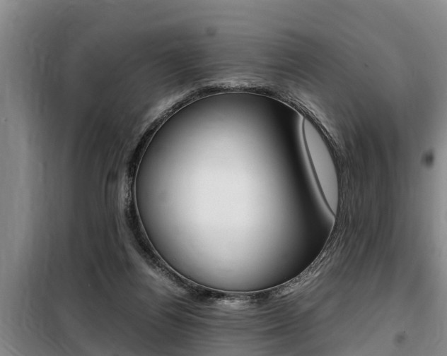 X0000099410164200805090736