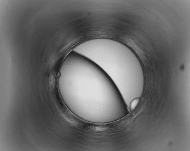 X0000099410165200805090736