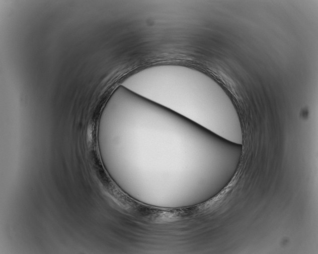 X0000099410166200805090736